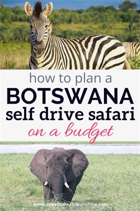 Trip Costs How To Go On Safari In Botswana On A Budget Adventure And