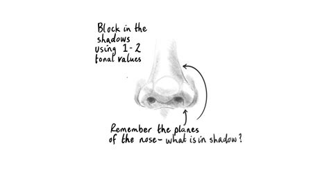 How To Draw A Realistic Nose In 4 Simple Steps Udemy Blog