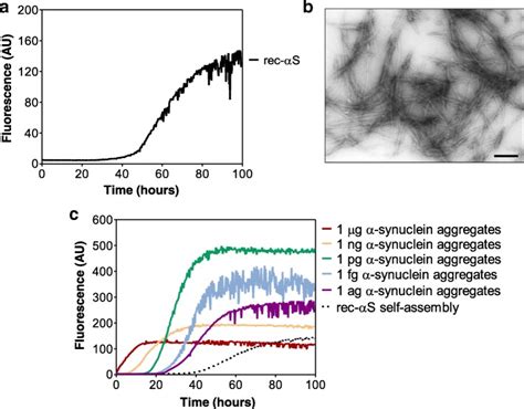 Efficient Rt Quic Seeding Activity For α Synuclein In Olfactory Mucosa