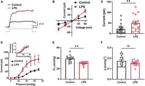 Frontiers Inflammation Condition Sensitizes Piezo1 Mechanosensitive