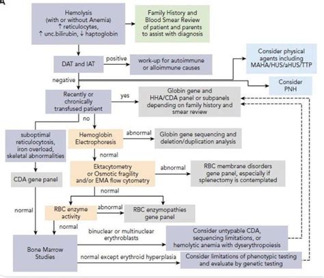 Hemolytic Anemia MEDizzy