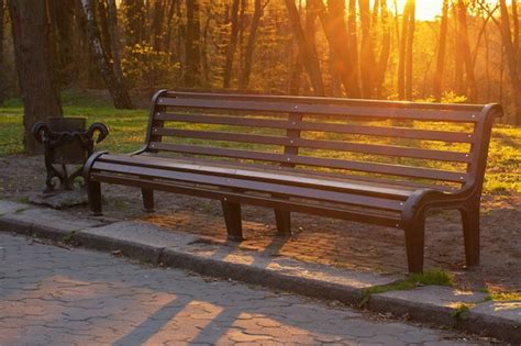 Premium Photo Bench In The Park During The Sunset