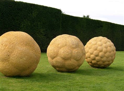 Peter Randall Page S Sculptures Art Is A Way Peter Randall Page