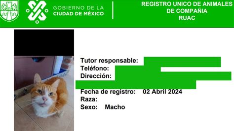 CURP para mascotas Cuáles son los beneficios de registrar a mis