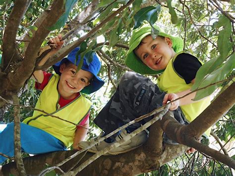 Bush Kindy Has Started Day Care Services