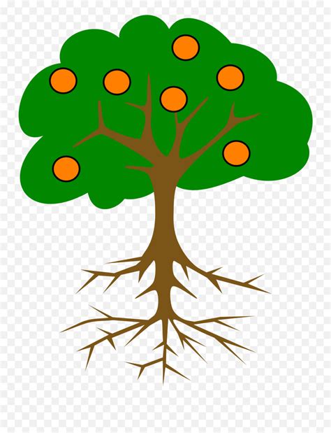 Orange Tree Drawing Mango Tree Root System Png Orange Tree Png Free