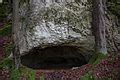 Category Caves In Naturpark Fr Nkische Schweiz Veldensteiner Forst