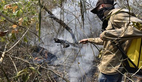 Incendios Arrasan Casi Un Millón De Hectáreas En Bolivia Donde El Fuego