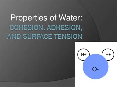 Ppt Surface Tension Powerpoint Presentation Free Download Id3106425