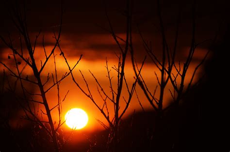 Wallpaper Sunlight Sunset Night Nature Reflection Sky Silhouette Branch Sunrise