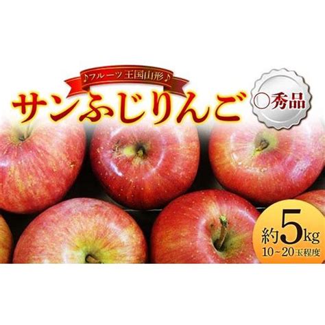 ふるさと納税 山形県 【先行予約 2024年度発送】♪フルーツ王国山形♪ サンふじりんご 〇秀品 約5kg Fsy 1149