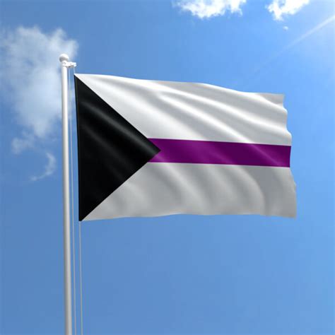 Demisexual Pride Flag Grand Rapids Pride Center