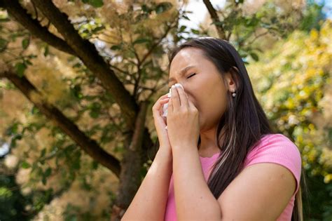 Cómo reconocer la alergia primaveral y combatir sus síntomas G5noticias