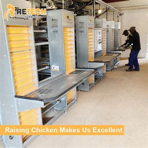 Retech H Type Automatic Poultry Farming Chicken Egg Layer Laying