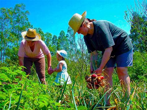 Seapa Antecipa Diretrizes De Projeto Para Incrementar A Fertiliza O