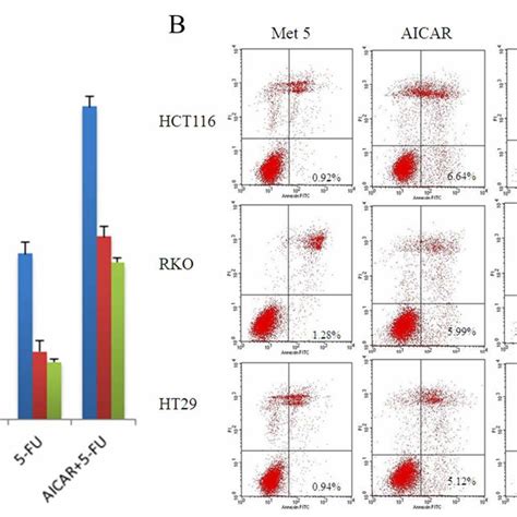 AICAR Potentiated Anti Cancer Effect Of 5 FU In Vivo And AMPK