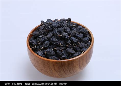 黑加仑高清图片下载_红动中国