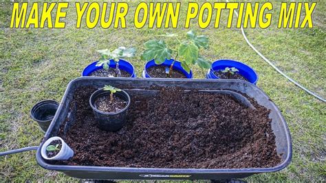 How To Make Potting Mix For Container Gardening Youtube