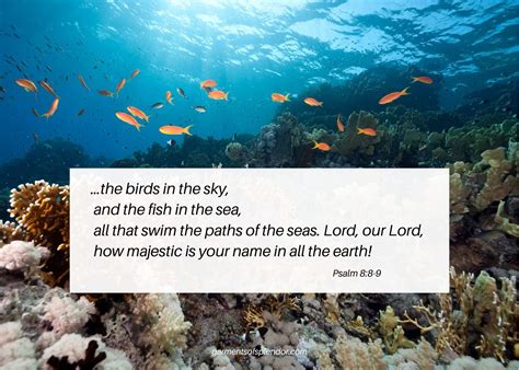 38 Powerful Bible Verses About The Ocean With Free Printable