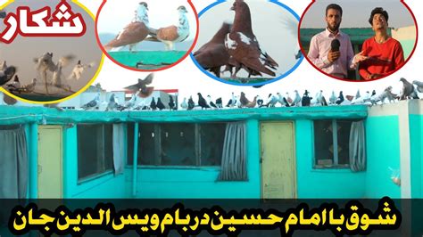 کفتر بازی با امام حسین در بام ویس الدین جان Dove Game With Amam Hussain