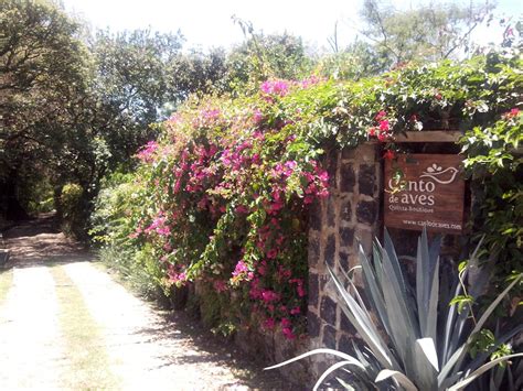 CANTO DE AVES - Prices & Hotel Reviews (Malinalco, Mexico)