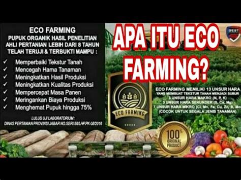 Apa Itu Eco Farming 085743891739 Youtube