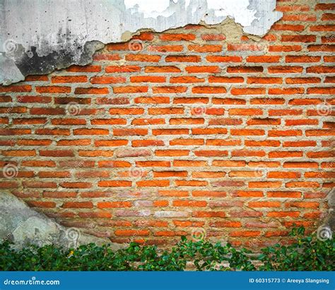 Cracked Concrete Showing Aged Brick Wall Stock Image Image Of Brown