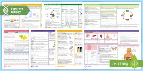 Aqa Gcse Biology Knowledge Organisers Separate Beyond