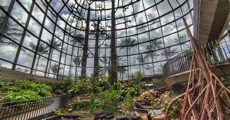 ¿Qué plantas se pueden encontrar en el Jardín Botánico de Bogotá? 🌿 ...