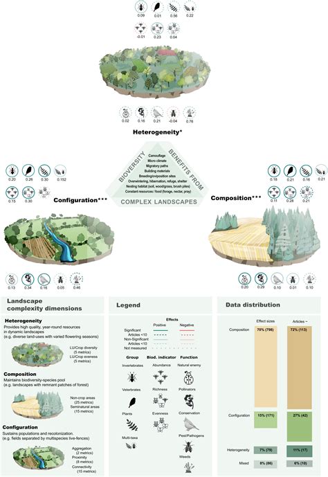 Complex Agricultural Landscapes Host More Biodiversity Than Simple Ones