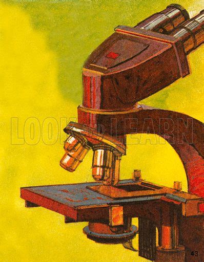 Microscope Stock Image Look And Learn