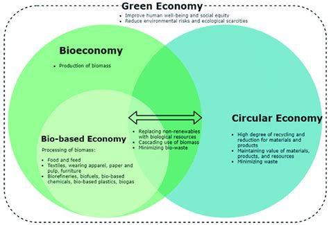 Relations Between Bio Bio Based Green And Circular Economies 68