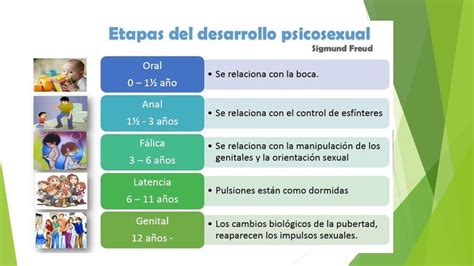 PsicologÍa Evolutiva Teoria De Freud Etapas Del Desarrollo Imagenes