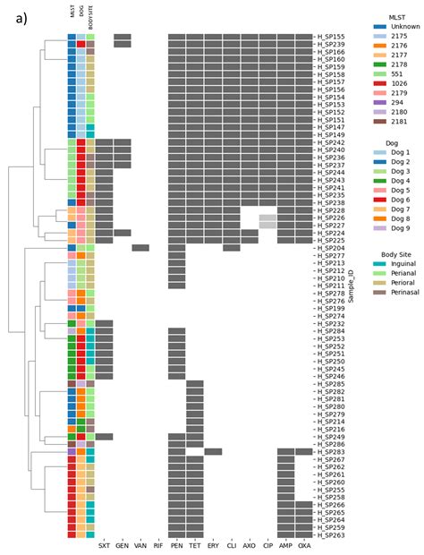 Antibiotics Free Full Text Concordance Between Antimicrobial Resistance Phenotype And