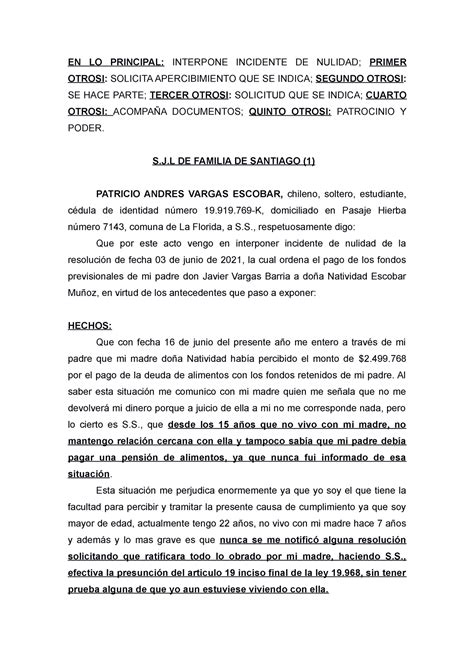 Escrito Nulidad En Lo Principal Interpone Incidente De Nulidad