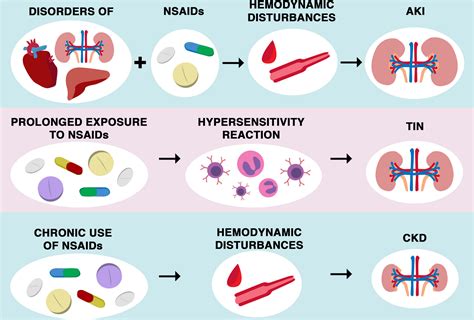 Kidney Damage From Nonsteroidal Antiinflammatory Drugsmyth Or Truth