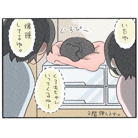 弟猫へのちゅぱちゅぱ、飼い主が見ていると予想外の反応がかわいすぎる！【作者インタビュー】 34枚目全67枚 1344970 ダ・ヴィンチweb