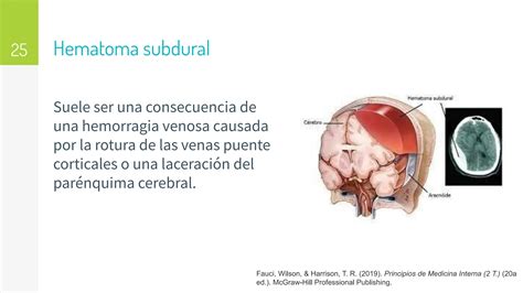 Traumatismo Craneoencef Lico Trauma Raquimedular Pdf Descarga Gratuita