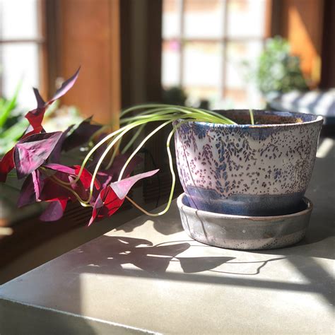 Emily Crystal Yu Gallery — Emily Crystal Yu