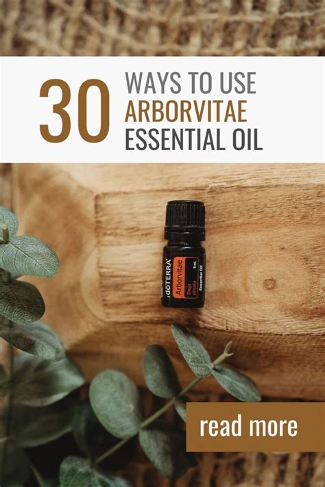 Arborvitae Essential Oil Uses Diffuser Blends And Recipes