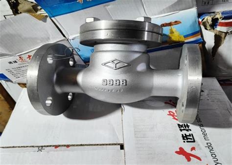 Corrosive Medium Flanged Swing Check Valve Stainless Steel Body