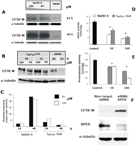 Representative Immunoblots And Associated Densitometric Analysis For