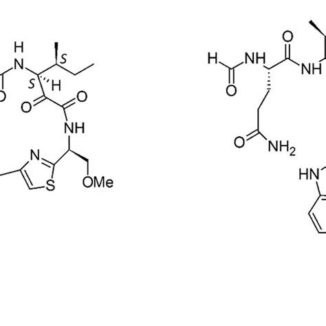 Structure of brentuximab vedotin. Adapted and reproduced with ...