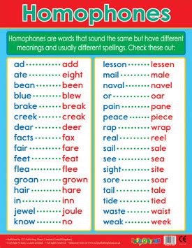 Educational School Posters | Homophones Literacy Chart for the Classroom