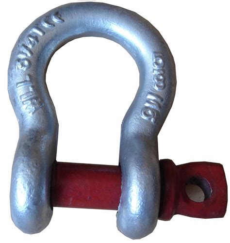 China Us Type G Bow Type Screw Pin Anchor Shackle China Us Shackle