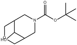 Tert Butyl Hydroxy Oxa Azabicyclo Nonane Carboxylate