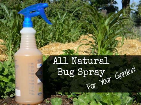 Diy Bug Spray For Plants Homemade Bug Spray For The Garden 3 Easy