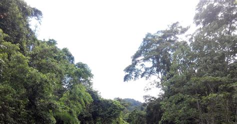 Trekking Menuju Air Terjun Perpas Sekongkang Sumbawa 2015