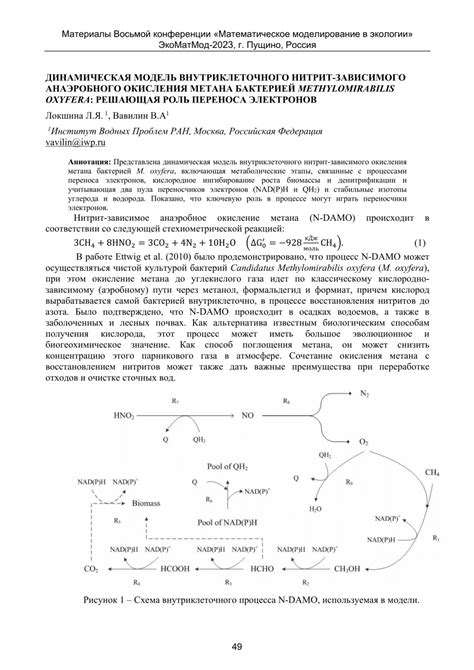 dinamiceskaia model vnutrikletocnogo nitrit zavisimogo