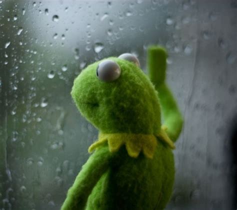 Kermit Rain Window Meme Generator